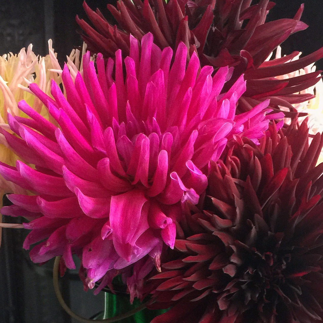 Flowers mobile